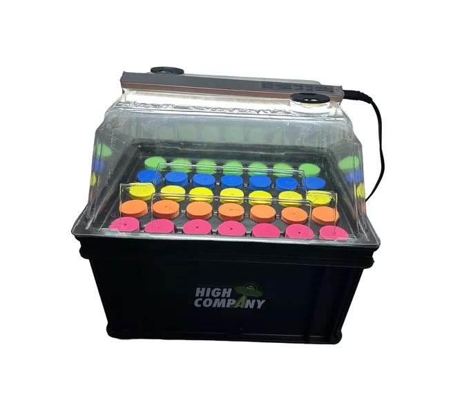 AEROCLONADOR HIGH COMPANY 35 CELDAS